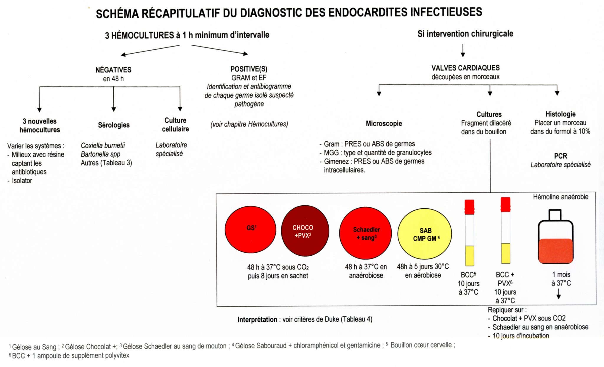 Schéma Récapitulatif Du Diagnostic Des Endocardites Microbiologiemedicalefr 