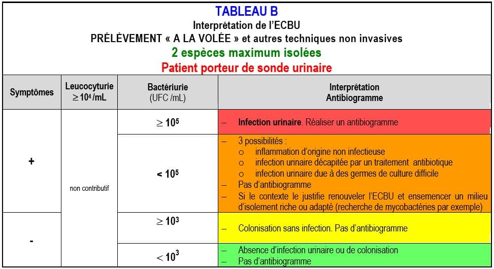 Examen cytobactériologique des urines (ECBU Examen cytobactériologique des urines (ECBU