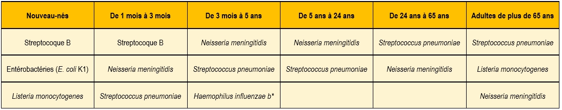 étiologie méningites purulentes