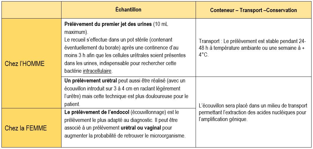 prélèvements chlamydiae