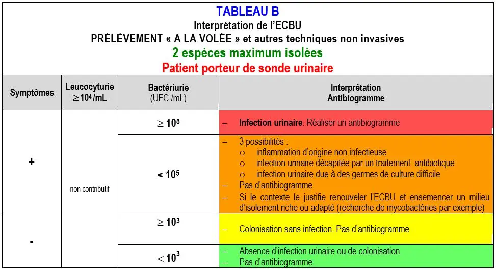 ECBU : Examen cytobactériologique des urines - y a t-il infection ...