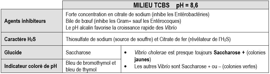 coproculture tcbs vibrio cholerae