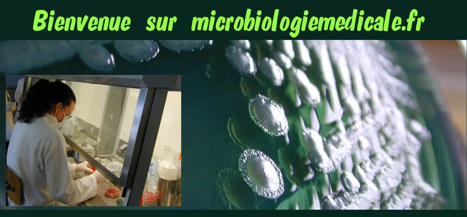microbiologie médicale